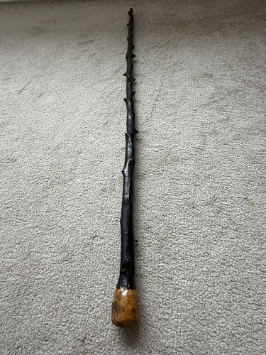 Antique blackthorn walking - antique,