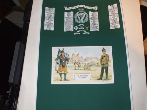 The royal irish regiment - the,