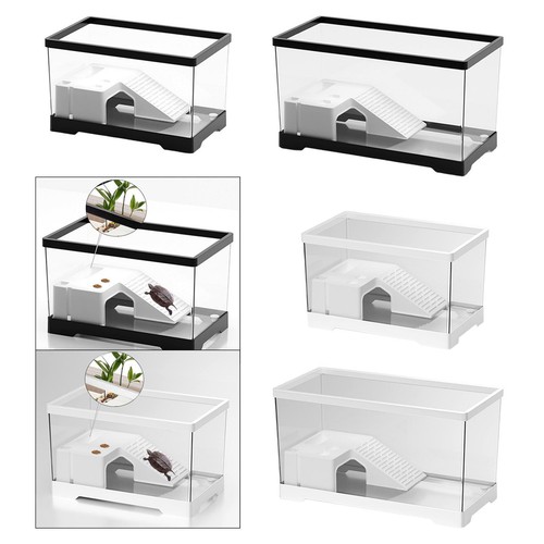 Turtle tank aquarium breeding - turtle,