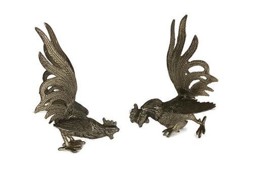 Couple fighting rooster - fighting,