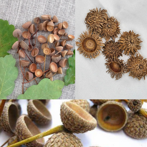 150 acorn caps for arts - for,