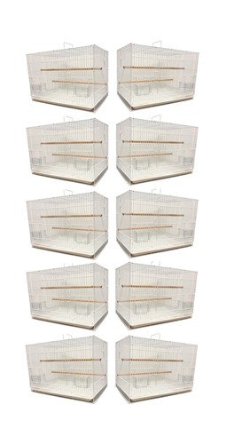 Lot ten aviary - of,