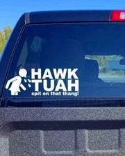 HAWK TUAH spit on that thang Vinyl Car Sticker Decal Graphics Bumper Stickers