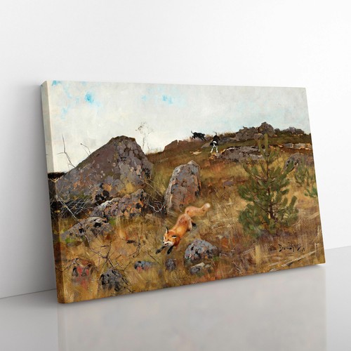 Fox and hunting dogs - fox,