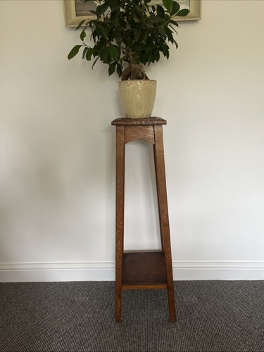 Vintage french oak - french, plant