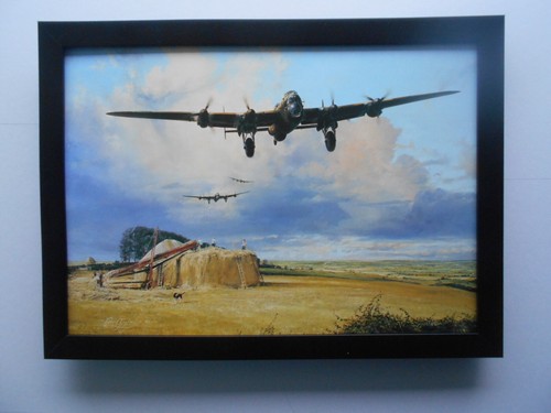 Robert taylor aircraft - robert,