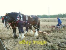 Photo 6x4 Horse-drawn plough Sittingbourne At Swale Ploughing Match, Grov c2006