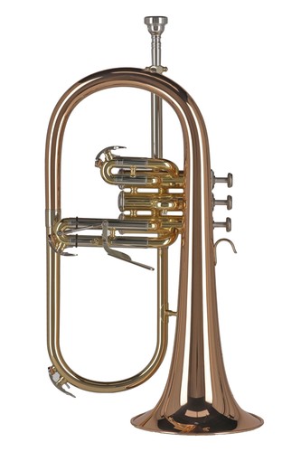 Gewa ambition flugel horn - gewa,