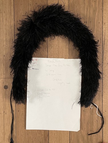 Antique ostrich feather - ostrich,