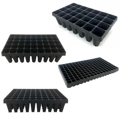 Root trainer seed - trainer,
