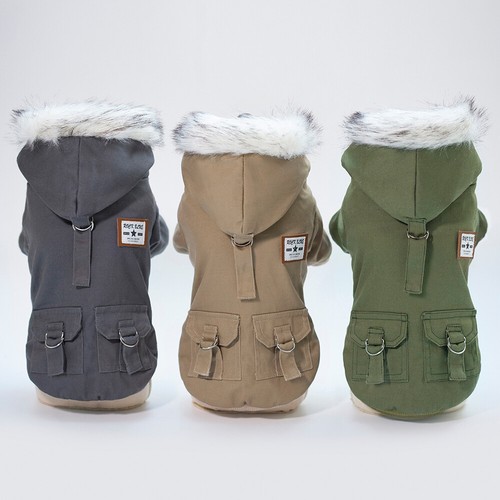 Winter pet small dog - winter,