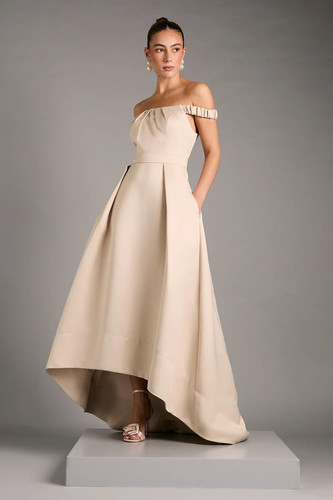 Coast champagne line dress - coast,