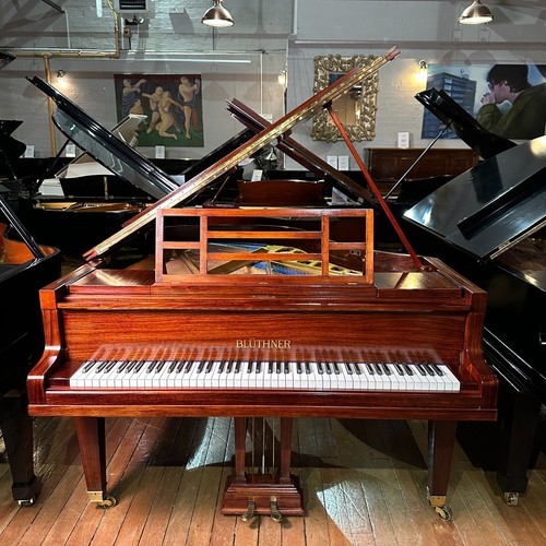 Bluthner style grand piano - style, 5