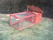 Rabbit, Guinea Pig, Pet Run