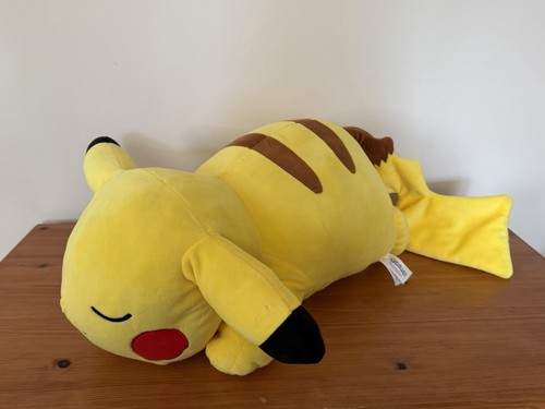 Pokémon large sleeping - pokémon,