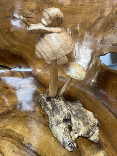 Amazing wooden mushrooms on - ,