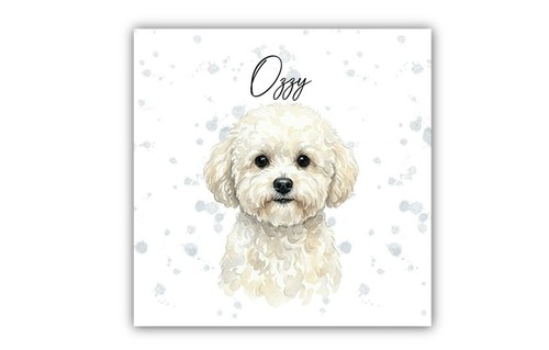Bichon frise personalised - frise,