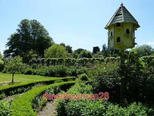 Photo rymans garden by the - garden,