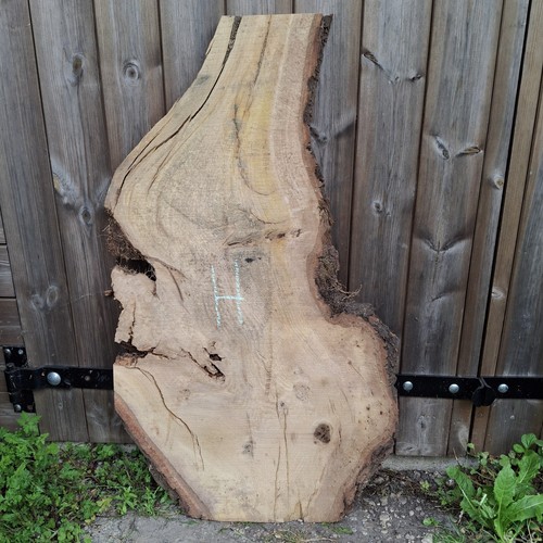 Oak wood waney - waney, live