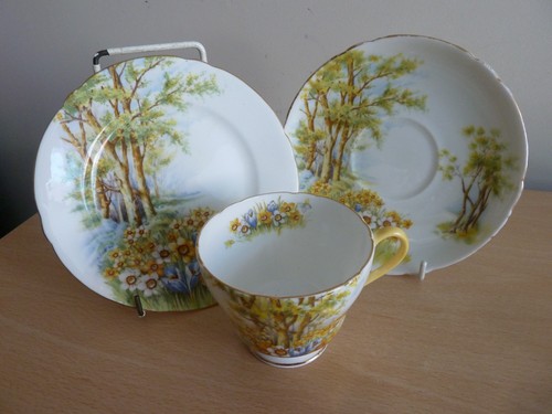Stunning vintage shelley - stunning,