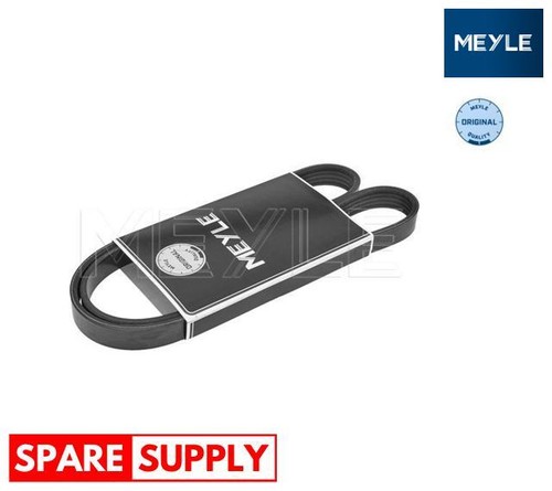 Ribbed belts for lancia - belts,
