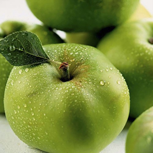 Bramley apple fruit tree 1 - 'bramley',