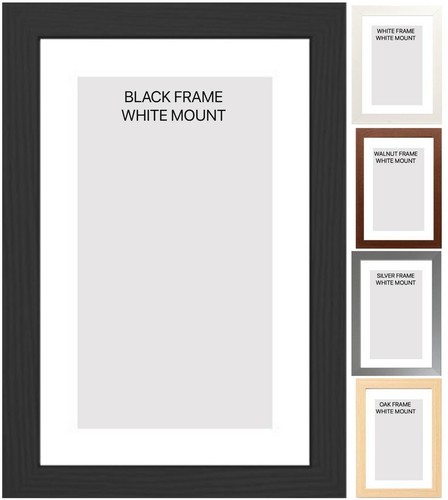 Modern picture photo frames - modern,
