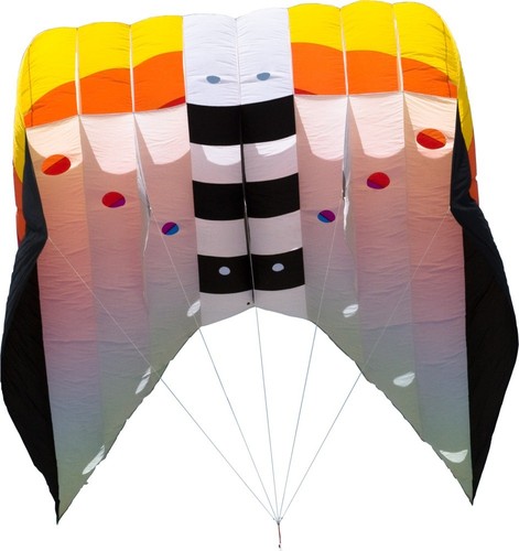 Single line kite flow - hq, form