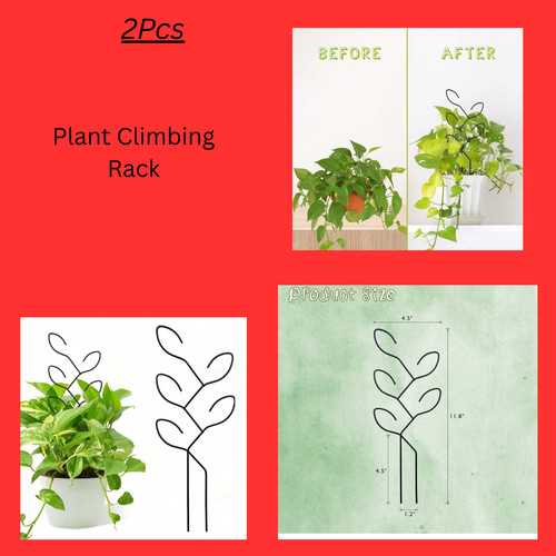 Plant climbing rack outdoor - plant, rack,