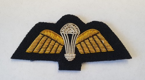 Parachute regiment wings no1 - regiment, wings.