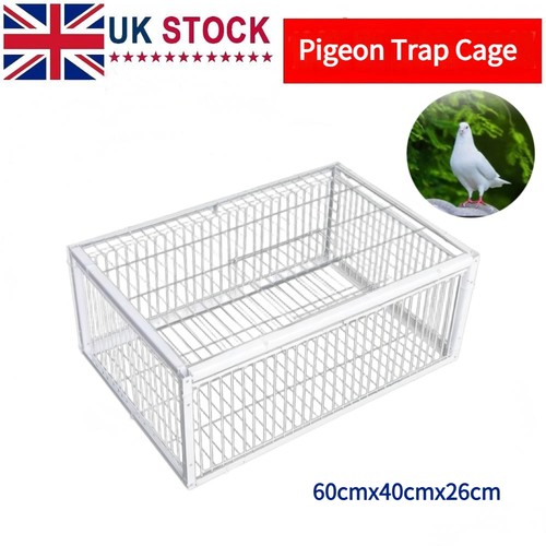 Pigeon trap cage single way - trap,