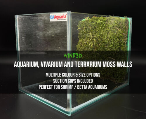 Freshwater aquarium moss - freshwater,