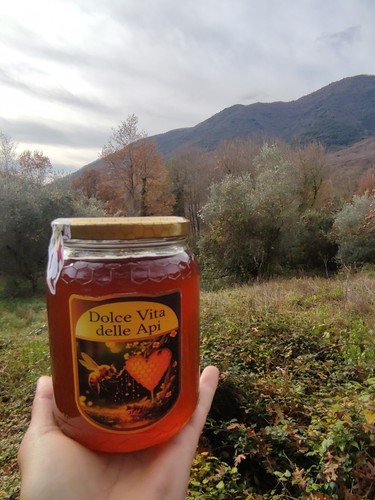 Raw honey ailanto - raw, (tree