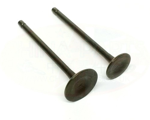 Inlet exhaust valves for - &,