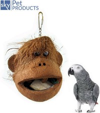 JAVA COCO MONKEY LARGE  PARROT