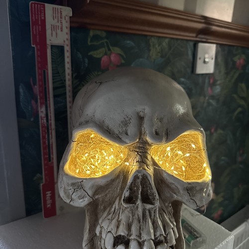 Huge animal skull ornament - huge,