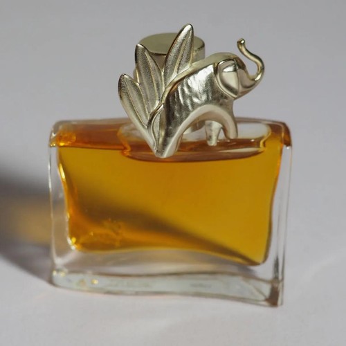 Kenzo jungle elephant eau - elephant, de