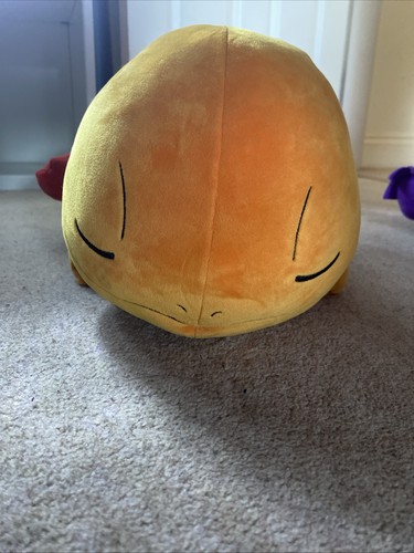 Pokemon sleeping charmander - pokemon,