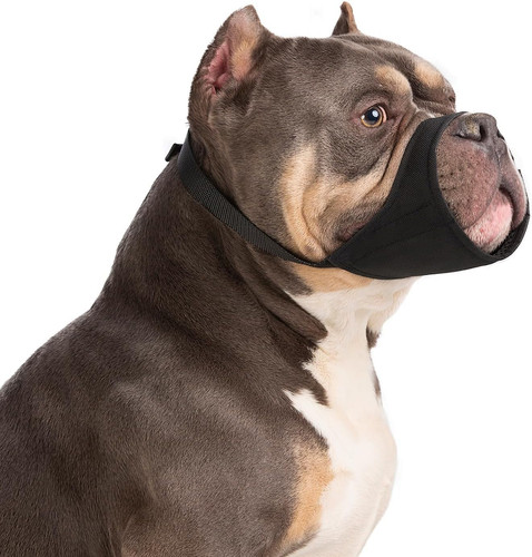 Dog muzzle for - dog, pitbull