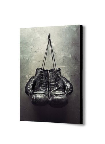 Boxing gloves vintage canvas - boxing,