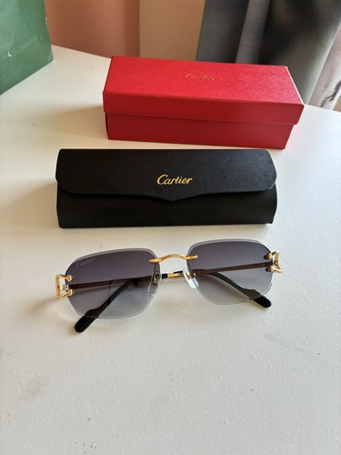 Santos cartier sunglasses - santos, de