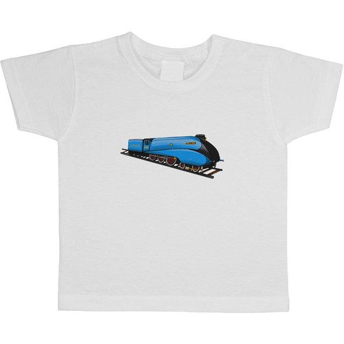 Mallard steam train - steam, train'