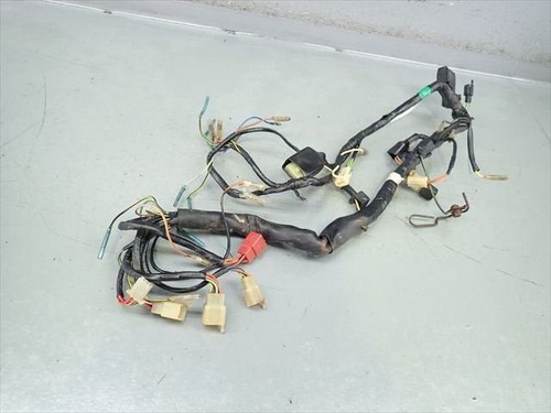 Kawaski kmx 125 200 wiring - 125/200,