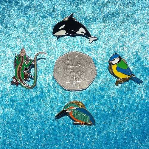 Job lot rspb kingfisher - job, 4