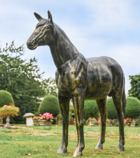 Life Size Freestanding Horse Garden Sculpture - Aluminium Outdoor Ornament