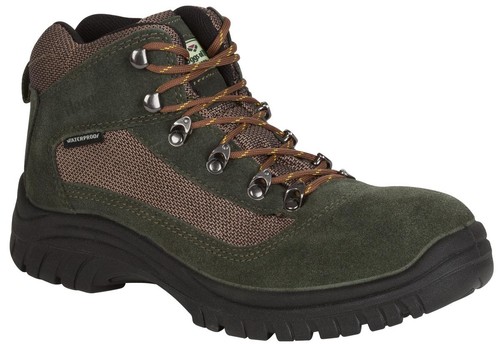 Hoggs fife rambler p - hoggs, of