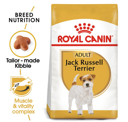 Royal canin jack russell - jack,