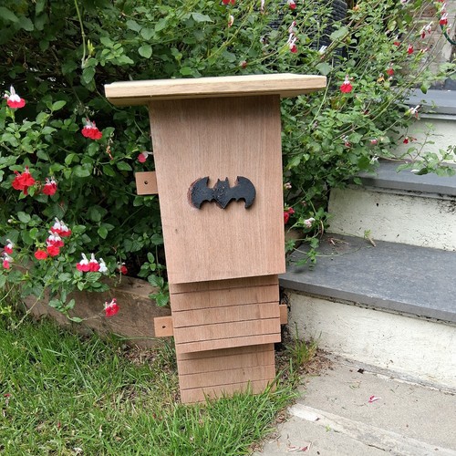 Bat box unique hand crafted - box,