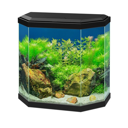 Ciano aqua aquarium - 30, with