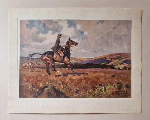 Edwards moorland gallop - moorland,